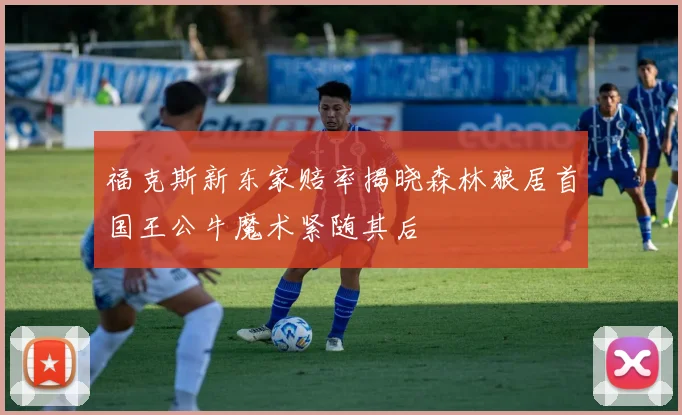 福克斯新东家赔率揭晓森林狼居首国王公牛魔术紧随其后